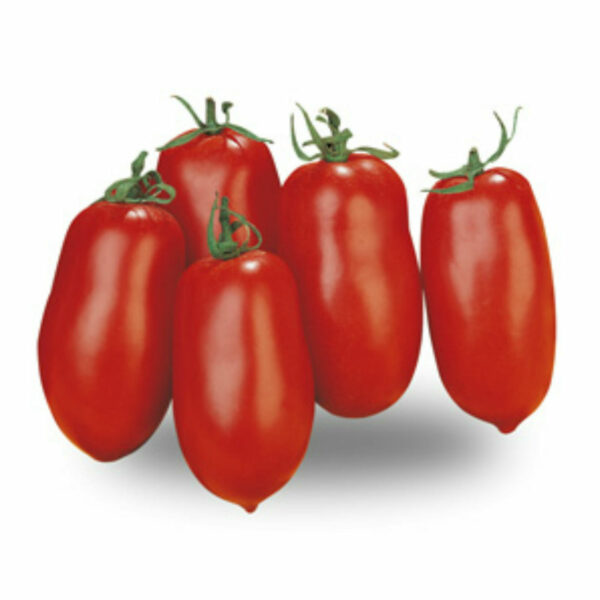 Pomodori San Marzano 500g - Azienda agricola d'Amico