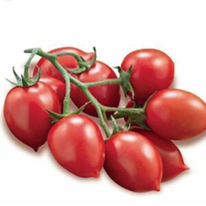 Pomodoro Fiaschetto 500g - Azienda Agricola d'Amico