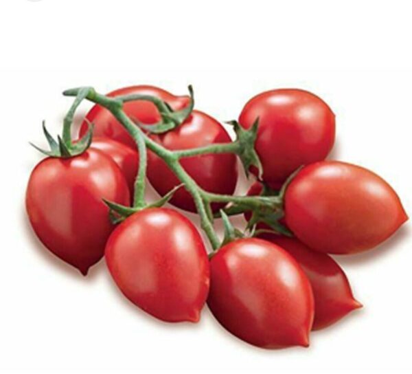 Pomodoro Fiaschetto 500g - Azienda Agricola d'Amico